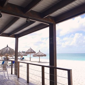 Visit the Sandpiper Bar to catch a bite to eat while you relax on vacation in Aruba! This All-inclusive restaurant is complete with beautiful beach views, all of your favorite snacks, and delicious frozen cocktails to compliment a day on the beach in paradise 😌 🏖️ Our all-inclusive resorts give you access to 10 different restaurants, 8 bars, and a mile of beach to spread out and relax in the warm Aruba sunshine. Plan a trip and see what's waiting for you on our #OneHappyIsland—bit.ly/2Iz6txO .