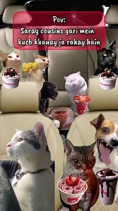 337K views · 22 reactions | Gari mein aur jaga nai hai... Dha Johar Town Gulberg Allama Iqbal Town PIA Road  Delivery all over Lahore Contact : 03216063739 #explore #explorepage #reels #trending #fypシ #fyp #lahore #pakistan #meme #funny | Chaudairy Ice cream | Facebook