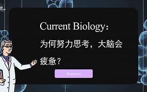 #Brainnews 【前沿快讯】Current Biology：为何努力思考，大脑会疲惫？