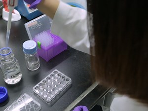 Visualization of Motor Axon Navigation and Quantification of Axon Arborization In Mouse Embryos Using Light Sheet Fluorescence Microscopy