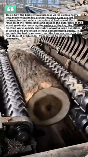 This is how the bark removal process works using a heavy-duty machine in the log processing area.