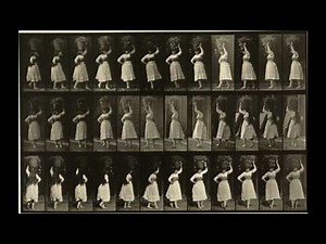Animal Locomotion: Plates #51-60 (1884-1887) by Eadweard Muybridge