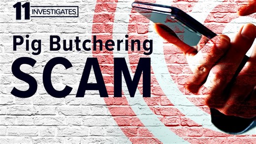 About to retire, she lost everything to the pig butcher's playbook | 11 Investigates