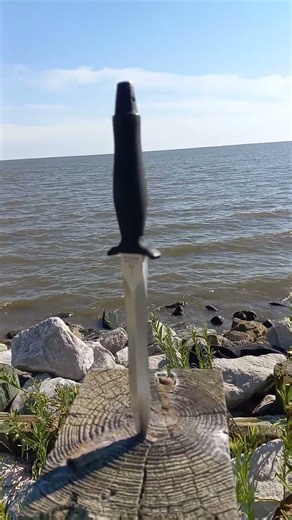 Gerber mk2 fighting dagger #gerberknives #vietnamcombatdagger #fightingknives #oceanview