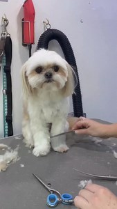 36K views · 4.4K reactions | “OH CRAP BAG…” Still one of my most...