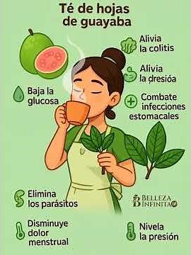 El Mejor Té Natural SOLO 1 Taza de Hojas de Guayaba al Día