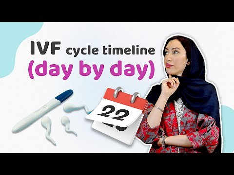 IVF Cycle Timeline: A Comprehensive Guide from Start to Finish | step-by-step guide to the IVF cycle
