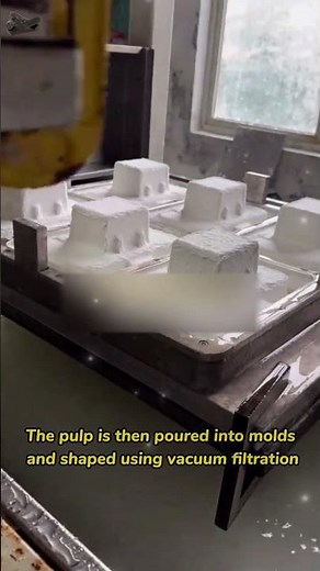 Introduction to the Paper Pulp Molding Process.