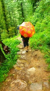 41K views · 3.6K reactions | Rainfall | Mountains View | Facebook