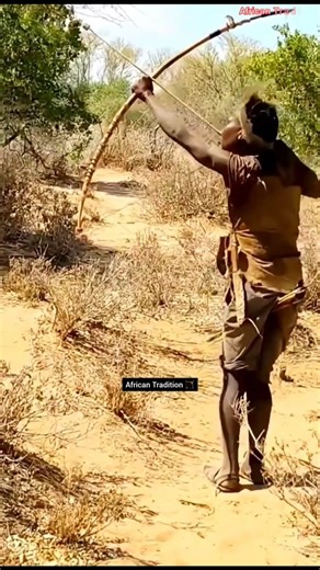 Hunter spots a leopard on a tree branch today! 🐆🌳 #shorts #leopard #wildlife