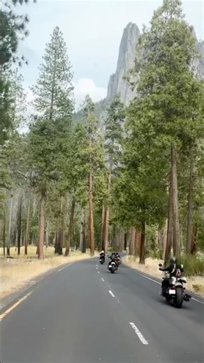 POV: You’re on the back of my bike in Sequoia