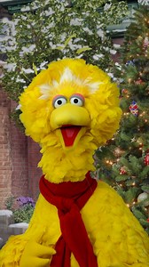 I like to sing all year round, but especially around the holidays! 🎶 | Big Bird