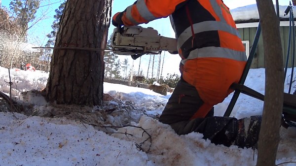 Cutting Down Trees Close to Buildings: Easy Techniques
