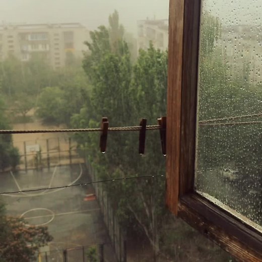 #rainyday #rainyvideo #calmvibes #calmvideo #calmness #calmmusic