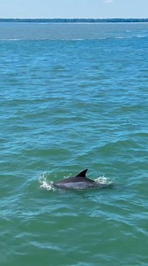 Happy National Travel and Tourism Week! 🎉 We're thrilled to celebrate every aspect that makes Hilton Head Island so special, from its rich history to ecotourism, wellness offerings, vibrant arts and culture scene, and an array of outdoor activities. Whatever type of trip you're seeking, you'll find it here on Hilton Head Island! 📸IG: josephinejeni01 | Visit Hilton Head