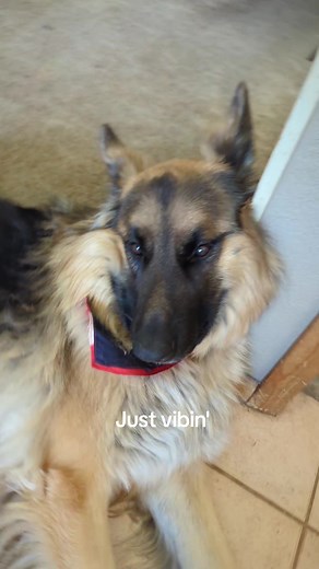 Vibe check we love Griz 💜 @GRiZ