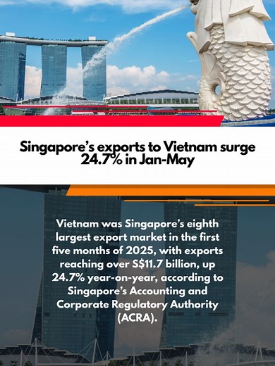 Vietnam was Singapore’s eighth largest export market in the first five months of 2025, with exports reaching over S$11.7 billion, up 24.7% year-on-year, according to Singapore’s Accounting and Corporate Regulatory Authority (ACRA). #tiktoknews #thesaigontimes #trending #englishlearning #learnwithtiktok
