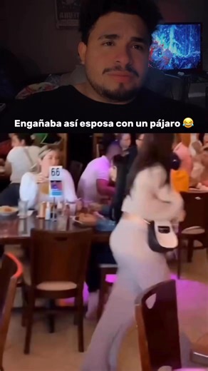 Engañaba así esposa con un pájaro | retro cool