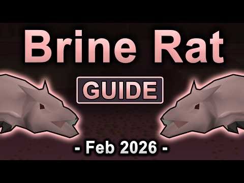Brine Rat Guide OSRS | Feb 2026