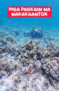 🤗🤗🤗 | Checklist Studio