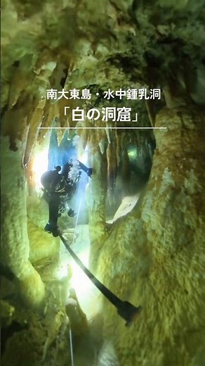 水没した鍾乳洞に眠る、純白の「白の洞窟」｜南大東島・ケーブダイビング