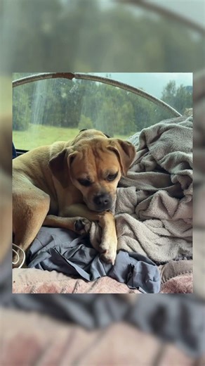 Its an obsession Day 174-176 part 4