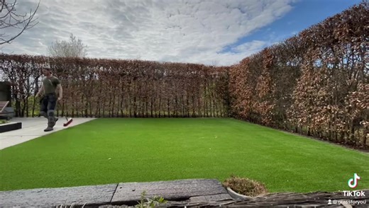 🏡 Start het nieuwe jaar met topkwaliteit kunstgras! Het is januari – dé maand om je tuin klaar te maken voor het nieuwe seizoen. Profiteer tot het einde van deze maand van onze winteractie: 10% korting op het volledige kunstgras assortiment, inclusief 10 jaar garantie ❄️ ✅ Vrijblijvende bezichtiging ✅ 10 jaar garantie ✅ Hoogwaardig kunstgras in diverse soorten Wij streven ernaar om elk project binnen 14 dagen op te leveren. 🤝 Vraag vandaag nog een vrijblijvende offerte aan en profiteer direct 