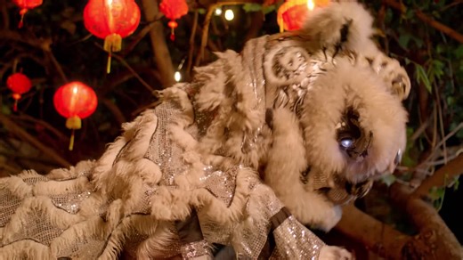 Lion Head Dance - Free Stock Video