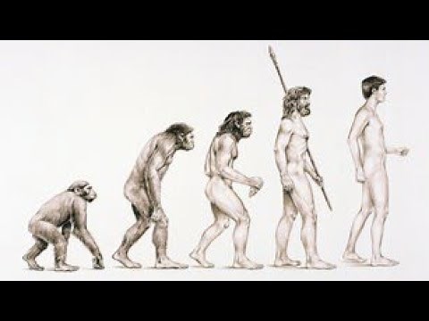 Planet Wissen - Evolution des Menschen