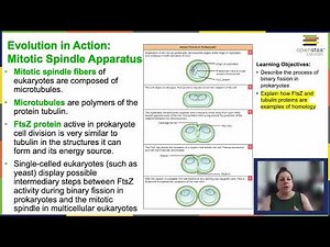 OpenStax Concepts of Biology Chapter 6.4