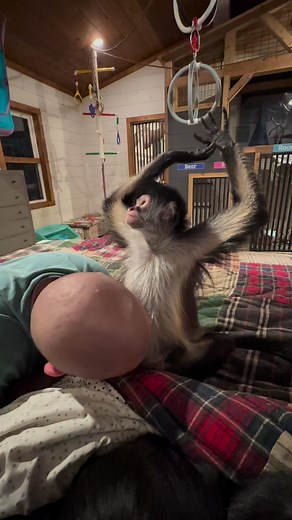 In the words of Madea…Hallelujer Praise the Lort🤣 | Our Life Adventures