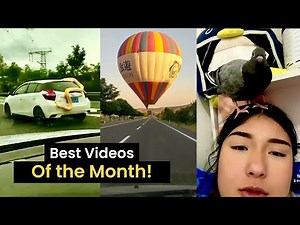 Top 35 Best Viral Videos of the Month! (August 2022)
