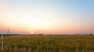 Sunset timelapse over the farmland in Alberta’s Prairies, Canada. Colorful sunrise sky with slow-moving clouds. Canadian Prairies. Alberta Canada. golden sun at the horizon ready to rise up the sky