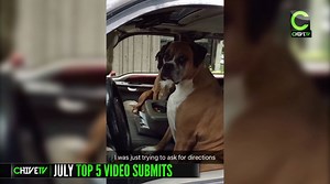 18K views · 26 reactions | Introducing theCHIVE Top 5 Video...