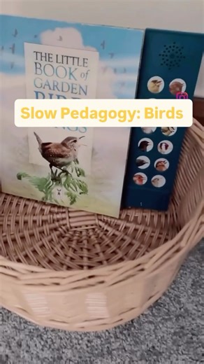 Hygge in the Early Years on Instagram: "A Bird Provocation Basket We love spotting the birds in our garden, and over the past few weeks we’ve found ourselves noticing them more and more — talking about the different types, their colours, their calls, and where they like to land. Because this interest kept returning, I put together a simple bird provocation basket for Oliver this morning. Rather than planning an activity, I wanted to offer a gentle hook — something that could hold his interest an