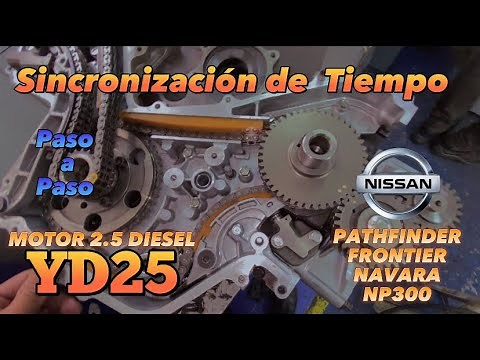 Sincronización de Tiempo del Motor YD25 | Nissan Frontier, NP300, Navara, Pathfinder