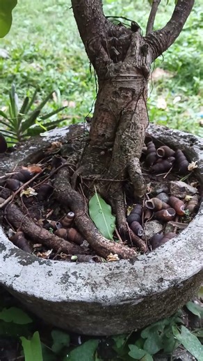 Cloudy mor #2026 #6:57am #shorts #morning