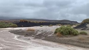 40K views · 315 reactions | Here is a look at some of the flood waters currently pouring over State Route 190 through Death Valley National Park. The highway, which stretches from Olancha to Death Valley Junction, remains closed at this time due to flooding. (Correction: This specific spot on State Route 190 is outside of DVNP boundaries.) | Caltrans District 9 | Facebook