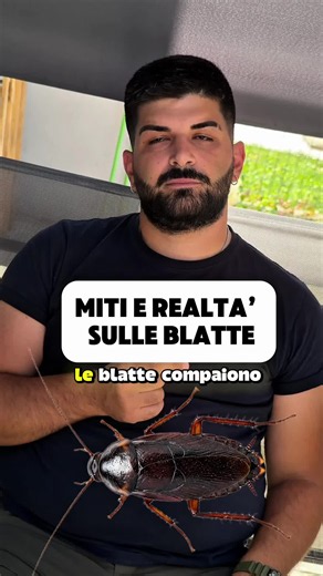 Miti e realtà sulle blatte: cosa è vero e cosa no