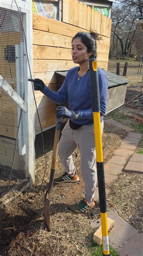 'Operation' Chicken Coop! 🏥🐔 #shorts #malayalam #chickens #concretework #digging