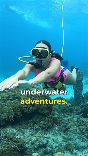 Experience De Palm Island's tropical haven filled with thrilling banana boat rides, and captivating underwater adventure. Replenish with delicious food and drink while enjoying the stectacle of the island's resident flamingo. 🏝️🦩 🌐 depalmisland.com | De Palm Island Aruba