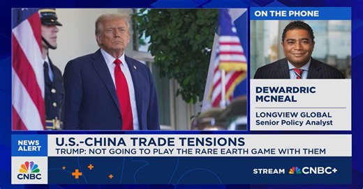 McNeal: China will press the gas on reducing tech dependence