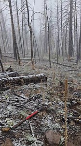505K views · 5.6K reactions | Merry Christmas friends! Here is some red quartz and rocky mountain snow for your enjoyment.  | Colorado Geology | Facebook