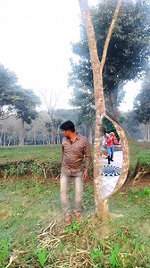 Musical tree double roll funny vfx Loop | Krishna Vfx