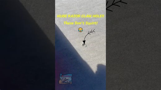 Digging up HUGE Razor Clams on the Oregon Coast