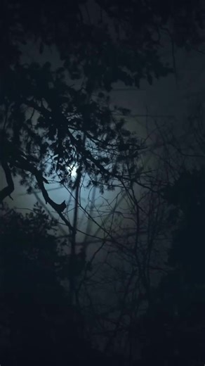 1.4K views · 17 reactions | 驪 Shop here - https://blog.infinitediscs.com/halloween-discs-for-2023/ | Infinite Discs | Facebook