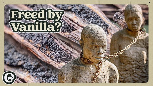 Vanilla: The Spice with a Sinister Story