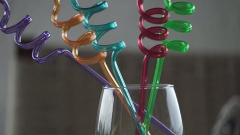 24pcs Beach Party Straws Reusable, Summer Party Favors Pool Party Favors,Birthday Party Supplies Fun Party Decorations for Kids and Adults（6）