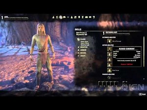Elder Scrolls Online: Create the Best Character for Your Class