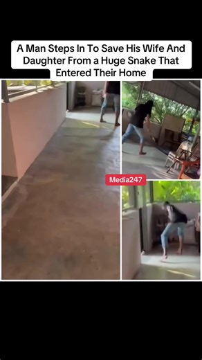 A Man Steps In To Save His Wife And Daughter From a Huge Snake That Entered Their Home#blog #blogger #fyp #fytiktok #tiktokviravideo